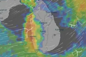 வெசாக்  அன்று கடலுக்குச் சென்ற குட்டி ஆமைகள்