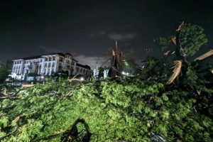 ருவாண்டா இனப்படுகொலையில் தப்பியோடிய முக்கிய குற்றவாளி தென்னாப்பிரிக்காவில் கைது