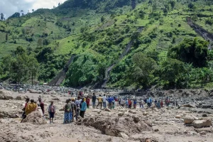 கோதுமை மாக்கான இறக்குமதி வரி  நீக்கம்