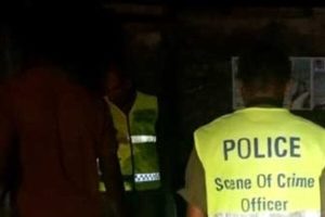 பலாங்கொடையில் புதையல் தோண்ட முற்பட்ட 17 பேர் கைது!