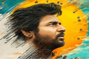 தலைநகர் வாஷிங்டன் மீது தாறுமாறாக பறந்த விமானம்