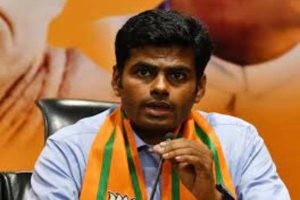 திருமணத்திற்காக கேக்போல் வடிவமைக்கப்பட்ட பிரத்தியேக கட்டடம்!