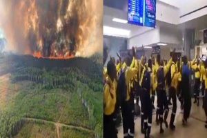 முல்லேரியா குழந்தை மரணம்! ஒருவா் கைது
