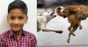 கதிர்காமத்தில் உள்ள அனைத்துப் பாடசாலைகளும் விடுமுறை