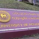 மன்னார் வளைகுடா கடற்கரையில் கரை ஒதுங்கிய கடல் பசு!