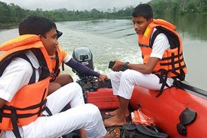 ஆஸ்திரேலியாவில் ஒட்டகங்களால் உயிரிழந்த வாகன ஓட்டுநர்!