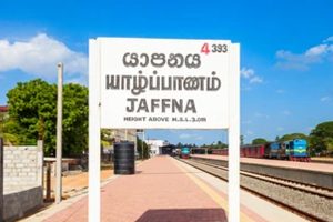 ஆஸ்திரேலியாவுக்கு விதிக்கப்பட்டிருந்த தடையை நீக்கிய சீனா