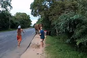 யாழில் இளைஞன் மரணம் – விசாரணையில் வெளிவரும் அதிர்ச்சி தகவல்