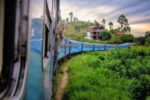 பெண் ஒருவரை கைது செய்ய தேடிவரும் ரொராண்டோ பொலிசார்