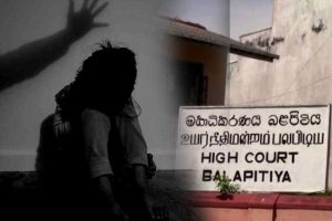 டோட்டன்ஹாம் அணியின் புதிய மேலாளராக Ange Postecoglou நியமனம்
