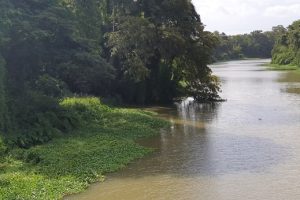 ஷுப்மன் கில்லுக்கு அபராதம் விதிக்க சர்வதேச கிரிக்கெட் சபை நடவடிக்கை
