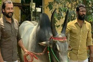 இலங்கையின் உள்விகாரங்களில் மேற்கத்தேய நாடுகளின் தலையீடு – ரஷ்யா கண்டனம்!