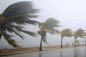ரத்தம் வழிந்த கத்தியோடு சாலையில் அலறிபடி ஓடி வந்த வாலிபர்..!