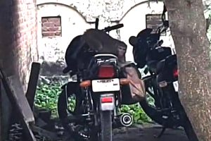 ‘ஜெயிலர்’ படத்தில் தமன்னாவின் ‘காவாலா’ பாடல் வெளியானது…