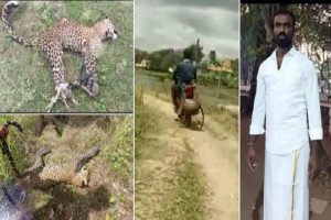 அட்ஜெஸ்ட்மென்ட் பண்ண சொல்லுங்க… இதுதான் SJ சூர்யாவின் உண்மை முகமா?