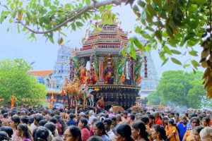 திருகோணமலையில் கரடி தாக்கி மூவருக்கு நேரந்த கதி!