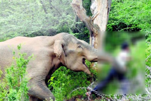 நேபாளம் ஹெலிகொப்டர் விபத்து ; ஐவர் பலி, ஒருவர் மாயம்