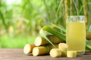 பிரான்ஸ் செல்லும் சுற்றுலா பயணிகளுக்கு ஒரு முக்கிய அறிவிப்பு