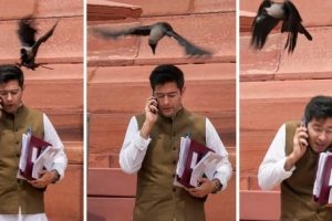 இங்கிலாந்தில் அடுத்த மாதம் வேலைநிறுத்தத்தில் ஈடுபடவுள்ள ஜூனியர் மருத்துவர்கள்