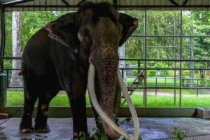 ஓபிஎஸ் கூட நிறைய நாள் இருந்திருக்கேன்… நடிகையின் பரபரப்பு பேட்டி