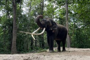 ஆந்திர முதல்வரின் பயோபிக் படத்தில் ஜீவா: விரைவில் படப்பிடிப்பு ஆரம்பம்