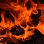 கோதுமை மாவின் விலை தொடர்பில் வெளியான அறிவிப்பு!