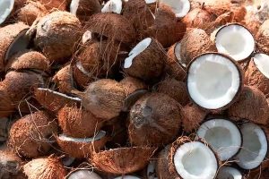 ஜப்பானிடம் இலங்கை விடுத்துள்ள கோரிக்கை