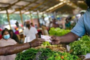 கோழி இறைச்சியை வெளிநாடுகளில் இருந்து இறக்குமதி செய்ய நடவடிக்கை!
