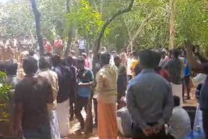 இறுதிப்போட்டியில் ஜோகோவிச்சை எதிர்கொள்ளும் அல்காரஸ்