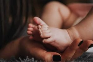 சபாநாயகருக்கும் – ஜனாதிபதிக்கும் இடையில் முரண்பாடுகள் இருக்கிறதா? – லக்ஷ்மன் கிரியெல்ல கேள்வி!