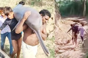 கால்பந்து சம்மேளனத்திற்கான தேர்தல்! அவசரமாக நியமிக்கப்பட்ட மூவரடங்கிய குழு!