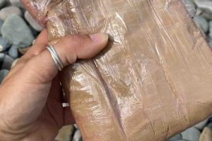 யாழில் இரு உணவகங்கள் சுற்றிவளைப்பு!