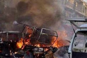 புத்தளத்தில் கரை ஒதுங்கிய திமிங்கலம் மீட்பு!