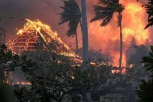விவசாயிகளுக்கு நீர் வழங்குவதில் ஏற்பட்டுள்ள சிக்கல் குறித்து பாராளுமன்றத்தில் எடுத்துரைப்பு!