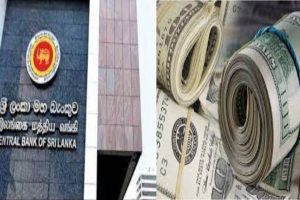 வரவர அழகு கூடுதே… சுண்டி இழுக்கும் இலங்கைப் பெண் ஜனனியின் புதிய புகைப்படங்கள்…
