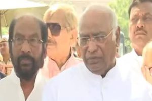 5 ஆண்டுகளாக பச்சை காய்கனிகளை மட்டுமே சாப்பிட்டு வந்த பெண் உயிரிழப்பு!