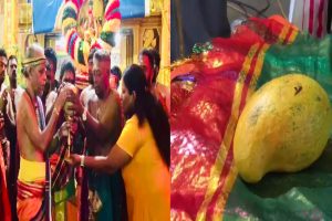 பொருளாதார நெருக்கடியில் உள்ள பிரண்டினா பயனாளிகளுக்கு நிதியுதவி