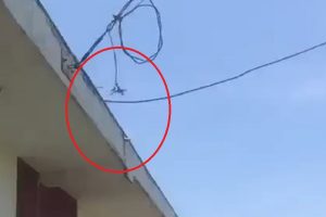 குடும்ப பெண்ணுக்கு தன் பிறப்புறுப்பை காட்டிய அதிகாரி சிக்கினார்