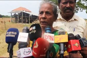 சீனாவில் தம்பதிகளுக்கு வழங்கப்படும் வெகுமதி!