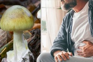 தினமும் பால் குடிப்பவரா நீங்கள்? உங்களுக்கான பதிவு