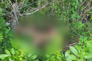 பட்டையை கிளப்புகின்றது “ஜெய்லர்”….  சற்றுமுன் வெளியானது ட்ரெய்லர்