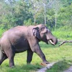 பட்டதாரிகளை ஆசிரியர் சேவையில் இணைந்துக்கொள்ள நடவடிக்கை!
