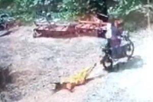 ரஷ்ய படைகளிடமிருந்து பாம்புத் தீவை மீட்டு தேசியக்கொடியை ஏற்றிய உக்ரைன் வீரர்கள்
