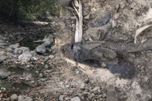 அமெரிக்க தூதுவருடன் யால தேசிய பூங்காவிற்குச் சென்ற ஜனாதிபதி