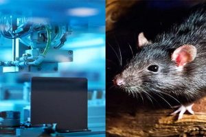 இலங்கை மக்களுக்கு பொலிஸார் விசேட எச்சரிக்கை