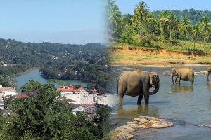 சிங்கப்பூரில் திருமணத்தை இணையம் வழி பதிவு செய்ய அனுமதி