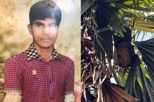 ஆஸ்திரேலியாவுக்கு காத்திருக்கும் ஆபத்து – பாதிக்கப்படும் பகுதிகள் அறிவிப்பு