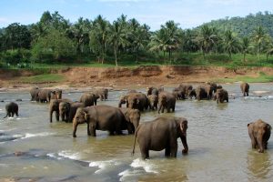 ரஷ்யர்கள் மீதான அமெரிக்கத் தடைகளை பாராட்டிய ஜெலென்ஸ்கி