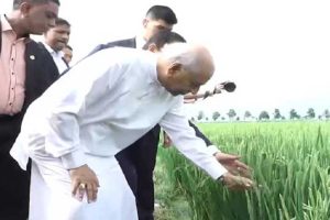 போலி ஆவணங்களை பயன்படுத்தி வாகன மோசடியில் ஈடுபட்ட மூவர் கைது