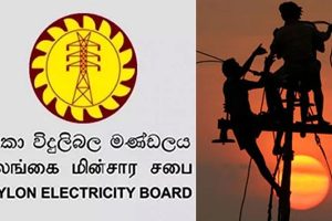ஜெர்மனியில் பிரபலமடைந்த 49 யூரோ பயண அட்டை – பாவனையில் இருந்து நிறுத்தப்படும் அபாயம்